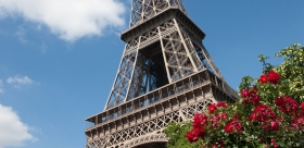 Paris city tour & Lunch at the Eiffel Tower