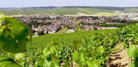 Champagne & Burgundy : Wines & Unesco Historical Heritage